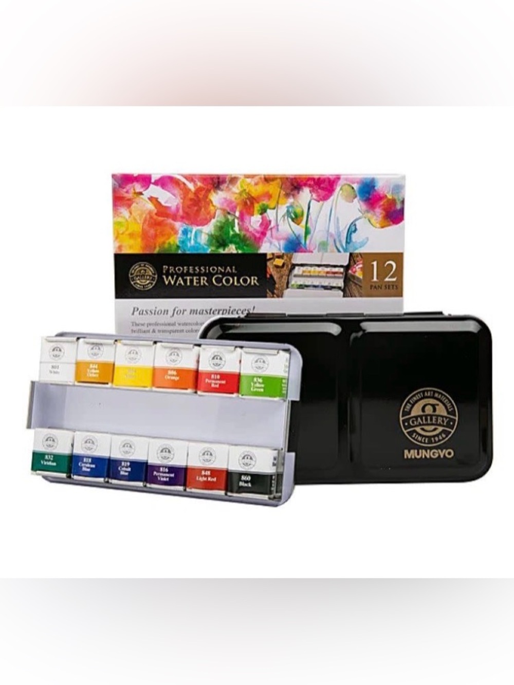 Professional Watercolor 12-Pan Set - Multicolor